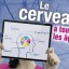 cerveau2013
