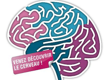 Semaine du cerveau 2013