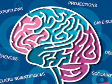 Semaine du cerveau 2013