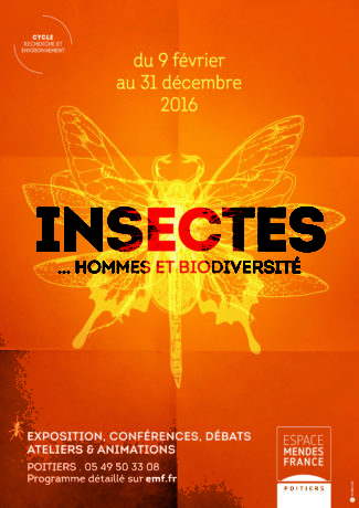 Affiche Insectes (min)